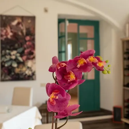 Tenuta San Giorgio